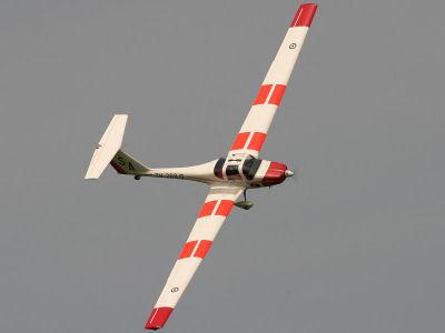 Vigilant glider